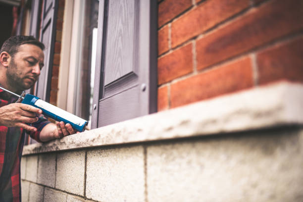 Best Professional Insulation Contractor  in Moncks Corner, SC