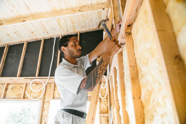 Best Local Insulation Services  in Moncks Corner, SC